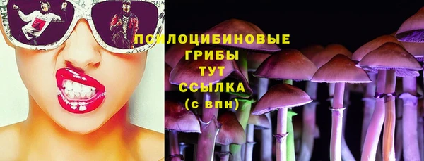трава Балахна