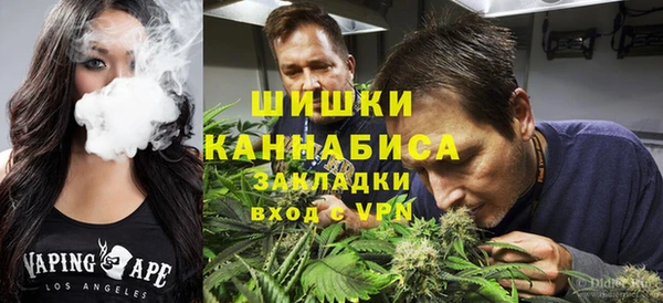 трава Балахна