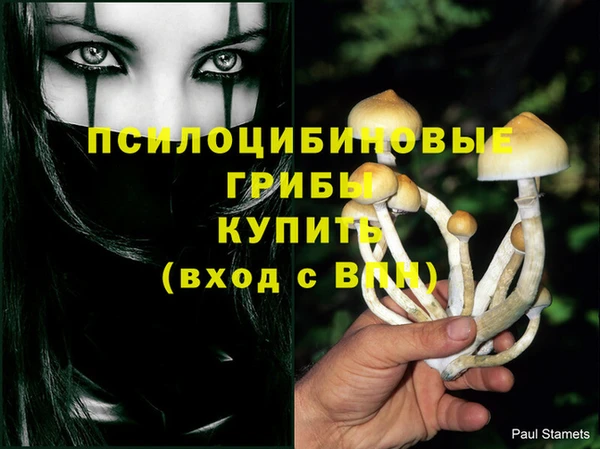 экстази Баксан
